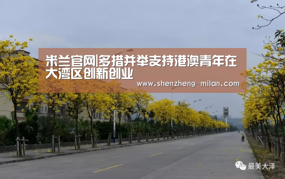 米兰官网|多措并举支持港澳青年在大湾区创新创业(图2) 意甲积分榜最新排名