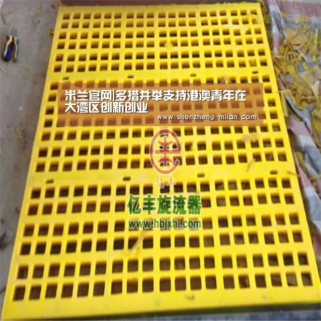 米兰官网|多措并举支持港澳青年在大湾区创新创业(图3) AC米兰官方商店